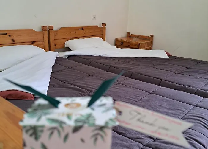 Πανσιόν Apollon 3*